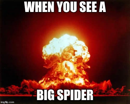 Nuclear Explosion | WHEN YOU SEE A; BIG SPIDER | image tagged in memes,nuclear explosion | made w/ Imgflip meme maker