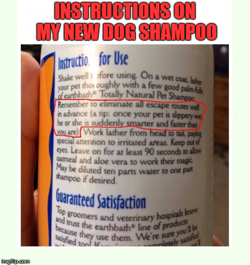 Dogs are Wiley | INSTRUCTIONS ON MY NEW DOG SHAMPOO | image tagged in dog meme,humor,pet humor,funny dog,instructions,directions | made w/ Imgflip meme maker