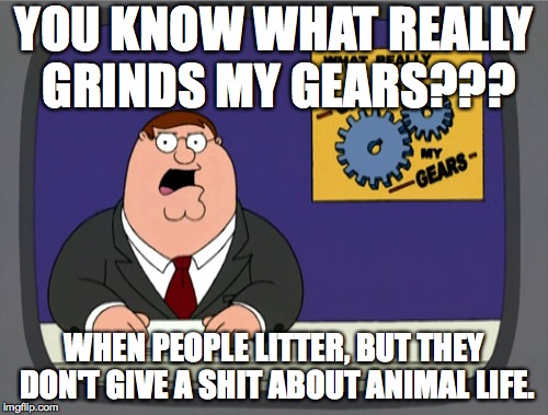 Peter Griffin News | YOU KNOW WHAT REALLY GRINDS MY GEARS??? WHEN PEOPLE LITTER, BUT THEY DON'T GIVE A SHIT ABOUT ANIMAL LIFE. | image tagged in memes,peter griffin news | made w/ Imgflip meme maker