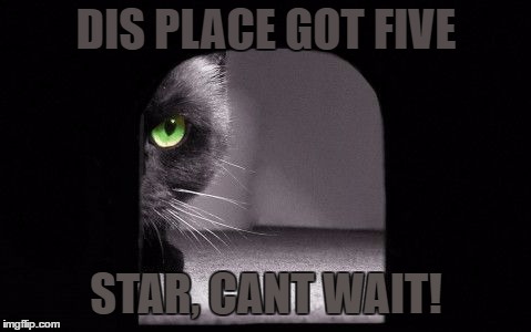 DIS PLACE GOT FIVE; STAR, CANT WAIT! | image tagged in 5-star | made w/ Imgflip meme maker