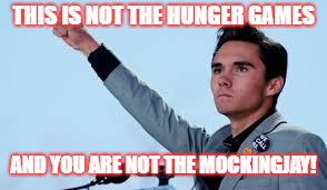 15 minutes of fame! | THIS IS NOT THE HUNGER GAMES; AND YOU ARE NOT THE MOCKINGJAY! | image tagged in david hogg | made w/ Imgflip meme maker