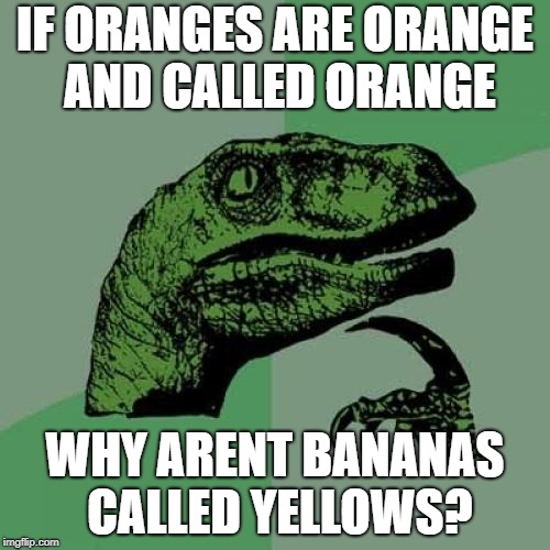 Philosoraptor | IF ORANGES ARE ORANGE AND CALLED ORANGE; WHY ARENT BANANAS CALLED YELLOWS? | image tagged in memes,philosoraptor | made w/ Imgflip meme maker