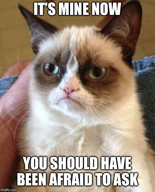 Grumpy Cat Meme | IT’S MINE NOW YOU SHOULD HAVE BEEN AFRAID TO ASK | image tagged in memes,grumpy cat | made w/ Imgflip meme maker