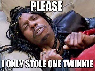 Rick James cold as ice | PLEASE; I ONLY STOLE ONE TWINKIE | image tagged in rick james cold as ice | made w/ Imgflip meme maker