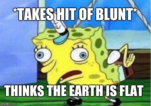 Mocking Spongebob | *TAKES HIT OF BLUNT*; THINKS THE EARTH IS FLAT | image tagged in memes,mocking spongebob | made w/ Imgflip meme maker