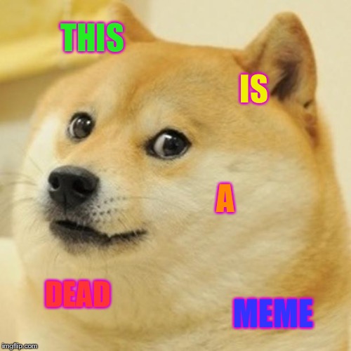 Doge Meme | THIS; IS; A; DEAD; MEME | image tagged in memes,doge | made w/ Imgflip meme maker