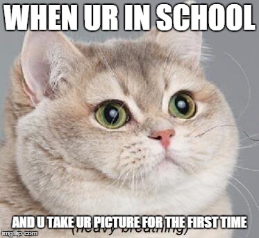 Heavy Breathing Cat | WHEN UR IN SCHOOL; AND U TAKE UR PICTURE FOR THE FIRST TIME | image tagged in memes,heavy breathing cat | made w/ Imgflip meme maker