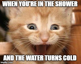 Excited Cat | WHEN YOU'RE IN THE SHOWER; AND THE WATER TURNS COLD | image tagged in memes,excited cat | made w/ Imgflip meme maker