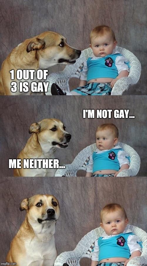 Dad Joke Dog Meme | 1 OUT OF 3 IS GAY; I'M NOT GAY... ME NEITHER... | image tagged in memes,dad joke dog | made w/ Imgflip meme maker