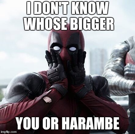 Deadpool Surprised Meme | I DON'T KNOW WHOSE BIGGER; YOU OR HARAMBE | image tagged in memes,deadpool surprised | made w/ Imgflip meme maker