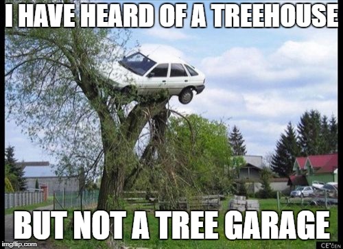 Secure Parking Meme | I HAVE HEARD OF A TREEHOUSE; BUT NOT A TREE GARAGE | image tagged in memes,secure parking | made w/ Imgflip meme maker