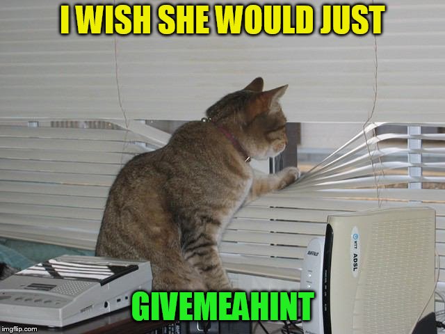 I WISH SHE WOULD JUST GIVEMEAHINT | made w/ Imgflip meme maker