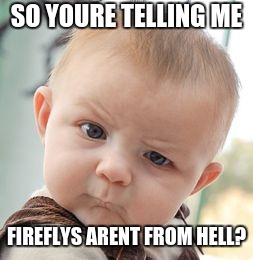 Skeptical Baby Meme | SO YOURE TELLING ME; FIREFLYS ARENT FROM HELL? | image tagged in memes,skeptical baby | made w/ Imgflip meme maker