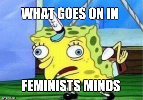 Mocking Spongebob Meme | WHAT GOES ON IN; FEMINISTS MINDS | image tagged in memes,mocking spongebob | made w/ Imgflip meme maker