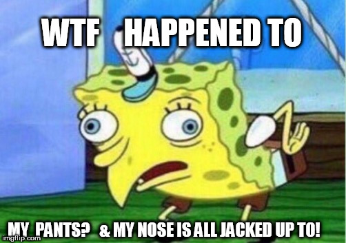 sponge bob  my  knob   | WTF    HAPPENED TO; MY  PANTS?


& MY NOSE IS ALL JACKED UP TO! | image tagged in memes,mocking spongebob,my  pants,nose,jacked  up | made w/ Imgflip meme maker