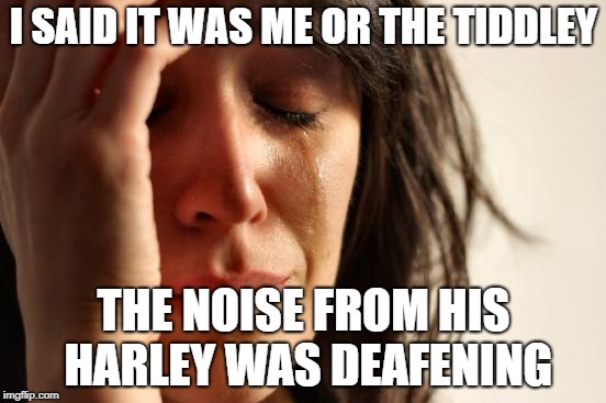 First World Problems Meme | I SAID IT WAS ME OR THE TIDDLEY; THE NOISE FROM HIS HARLEY WAS DEAFENING | image tagged in memes,first world problems | made w/ Imgflip meme maker