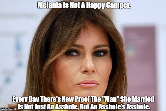 Melania Is Not A Happy Camper. Every Day There's New Proof The "Man" She Married Is Not Just An Asshole, But An Asshole's Asshole. | made w/ Imgflip meme maker