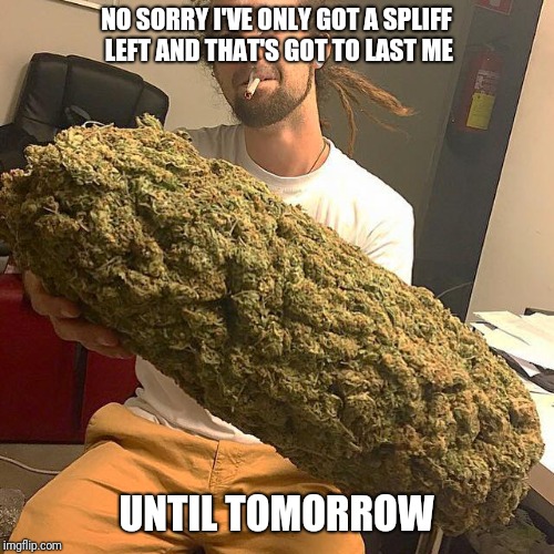 Weed guy | NO SORRY I'VE ONLY GOT A SPLIFF LEFT AND THAT'S GOT TO LAST ME; UNTIL TOMORROW | image tagged in weed guy | made w/ Imgflip meme maker