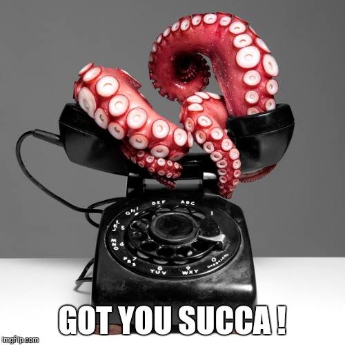 GOT YOU SUCCA ! | made w/ Imgflip meme maker