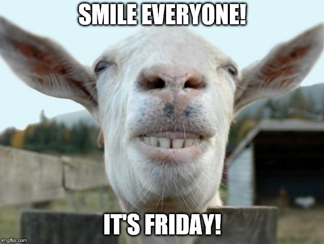 Hi I'm mr smiley goat | SMILE EVERYONE! IT'S FRIDAY! | image tagged in mr smiles a lot,smile,friday | made w/ Imgflip meme maker