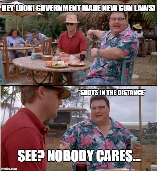 See Nobody Cares | HEY LOOK! GOVERNMENT MADE NEW GUN LAWS! *SHOTS IN THE DISTANCE*; SEE? NOBODY CARES... | image tagged in memes,see nobody cares | made w/ Imgflip meme maker