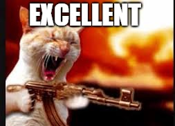 EXCELLENT | made w/ Imgflip meme maker