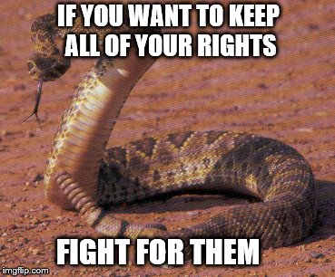 snake bite  | IF YOU WANT TO KEEP ALL OF YOUR RIGHTS; FIGHT FOR THEM | image tagged in snake bite | made w/ Imgflip meme maker