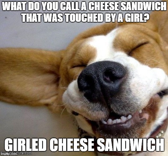 Laughing corgi | WHAT DO YOU CALL A CHEESE SANDWICH THAT WAS TOUCHED BY A GIRL? GIRLED CHEESE SANDWICH | image tagged in laughing corgi | made w/ Imgflip meme maker