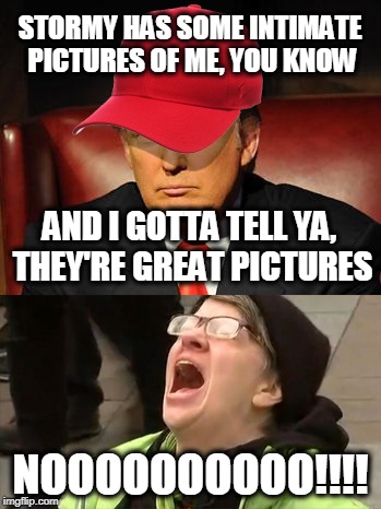 Can't Un-see Them, I Dare You to Try | STORMY HAS SOME INTIMATE PICTURES OF ME, YOU KNOW; AND I GOTTA TELL YA, THEY'RE GREAT PICTURES; NOOOOOOOOOO!!!! | image tagged in trump hat no | made w/ Imgflip meme maker