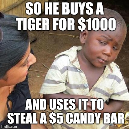 Third World Skeptical Kid Meme | SO HE BUYS A TIGER FOR $1000 AND USES IT TO STEAL A $5 CANDY BAR | image tagged in memes,third world skeptical kid | made w/ Imgflip meme maker