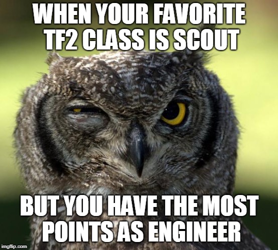 WTF Owl | WHEN YOUR FAVORITE TF2 CLASS IS SCOUT; BUT YOU HAVE THE MOST POINTS AS ENGINEER | image tagged in wtf owl | made w/ Imgflip meme maker