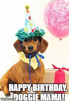 dachshund birthday  | HAPPY BIRTHDAY, DOGGIE MAMA! | image tagged in dachshund birthday | made w/ Imgflip meme maker
