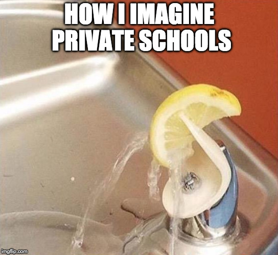 School with a twist. | HOW I IMAGINE PRIVATE SCHOOLS | image tagged in water,lemon,twist of lemon,private school,school,rich | made w/ Imgflip meme maker