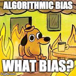 understanding algorithmic bias | ALGORITHMIC BIAS; WHAT BIAS? | image tagged in dog in burning house | made w/ Imgflip meme maker