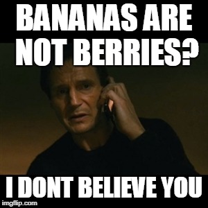 Liam Neeson Taken Meme | BANANAS ARE NOT BERRIES? I DONT BELIEVE YOU | image tagged in memes,liam neeson taken | made w/ Imgflip meme maker