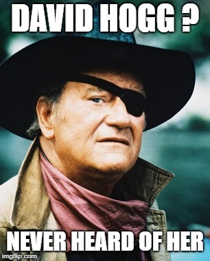 John Wayne  | DAVID HOGG ? NEVER HEARD OF HER | image tagged in john wayne | made w/ Imgflip meme maker