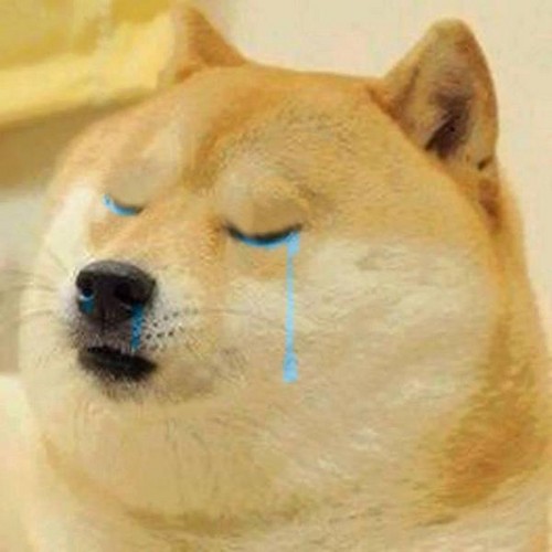 doge crying Blank Meme Template