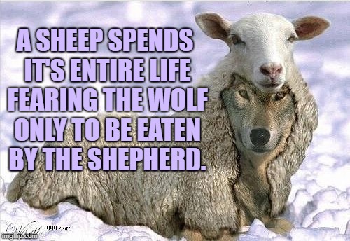 Wolf In Sheeps Clothing | A SHEEP SPENDS IT'S ENTIRE LIFE FEARING THE WOLF ONLY TO BE EATEN BY THE SHEPHERD. | image tagged in wolf in sheeps clothing,memes,funny,profound | made w/ Imgflip meme maker