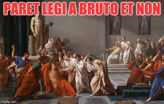 Brutus in the Senate  | PARET LEGI A BRUTO ET NON | image tagged in gun control,fails | made w/ Imgflip meme maker