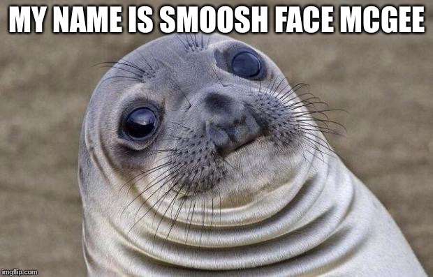 Awkward Moment Sealion | MY NAME IS SMOOSH FACE MCGEE | image tagged in memes,awkward moment sealion | made w/ Imgflip meme maker