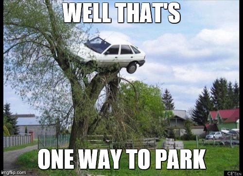 Secure Parking | WELL THAT'S; ONE WAY TO PARK | image tagged in memes,secure parking | made w/ Imgflip meme maker