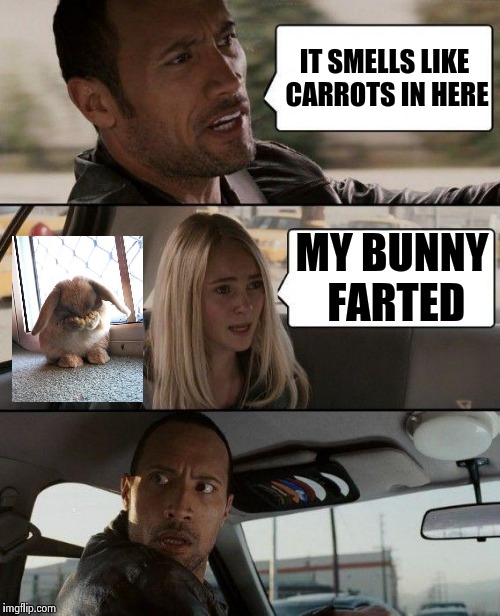 An Annual event , the Easter bunny joke | IT SMELLS LIKE CARROTS IN HERE; MY BUNNY FARTED | image tagged in memes,the rock driving,old joke,happy holidays,happy easter | made w/ Imgflip meme maker