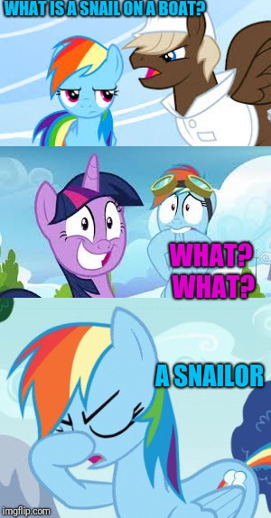 My Little Pony Week | WHAT IS A SNAIL ON A BOAT? WHAT? WHAT? A SNAILOR | image tagged in my little pony | made w/ Imgflip meme maker
