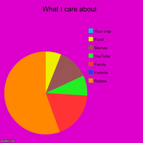What I care about  | Roblox , Fortnite, Family , YouTube , Memes , Food , Your crap | image tagged in funny,pie charts | made w/ Imgflip chart maker