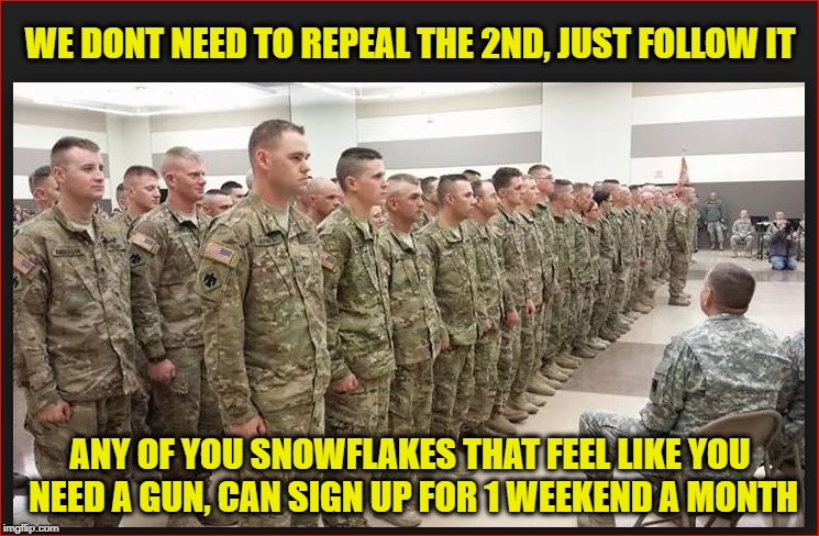 Well Regulated Militias | WE DONT NEED TO REPEAL THE 2ND, JUST FOLLOW IT; ANY OF YOU SNOWFLAKES THAT FEEL LIKE YOU NEED A GUN, CAN SIGN UP FOR 1 WEEKEND A MONTH | image tagged in guns,gun control,snowflakes,second amendment,small hands | made w/ Imgflip meme maker