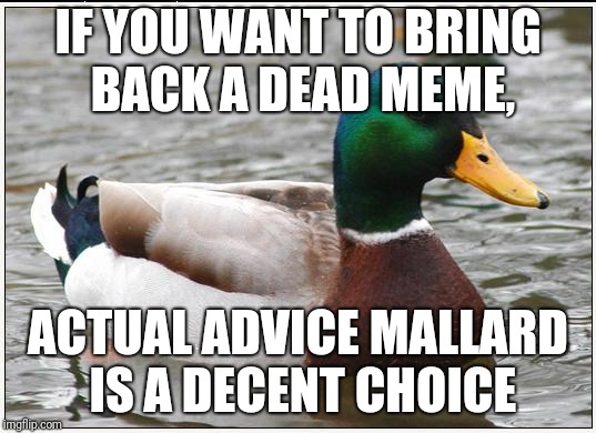 I heard we were bringing back dead memes | IF YOU WANT TO BRING BACK A DEAD MEME, ACTUAL ADVICE MALLARD IS A DECENT CHOICE | image tagged in memes,actual advice mallard,dead memes week,dead memes | made w/ Imgflip meme maker