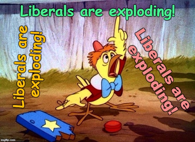 Liberals Are Exploding! | Liberals are exploding! Liberals are exploding! Liberals are exploding! | image tagged in chicken little large,liberals,exploding | made w/ Imgflip meme maker