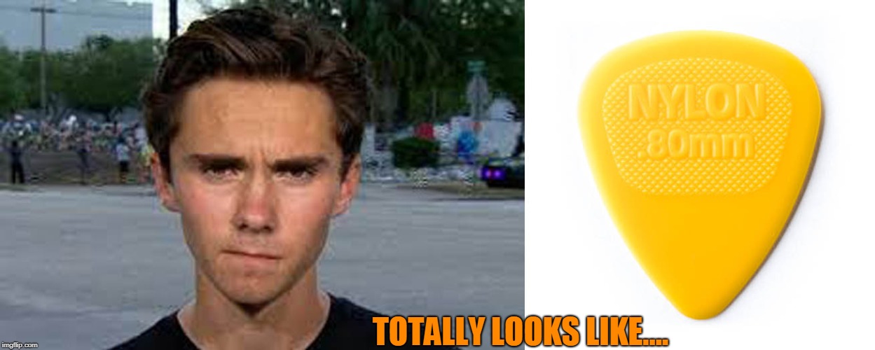 Totally looks like... | TOTALLY LOOKS LIKE.... | image tagged in david hogg,totally looks like | made w/ Imgflip meme maker