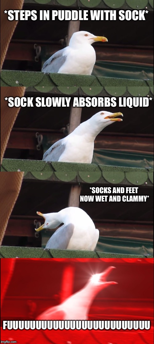 Minutes after putting on new socks | *STEPS IN PUDDLE WITH SOCK*; *SOCK SLOWLY ABSORBS LIQUID*; *SOCKS AND FEET NOW WET AND CLAMMY*; FUUUUUUUUUUUUUUUUUUUUUUUUU | image tagged in memes,inhaling seagull,socks,pain,first world problems,depression | made w/ Imgflip meme maker