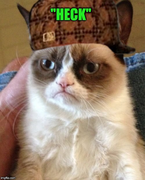 Grumpy Cat Meme | "HECK" | image tagged in memes,grumpy cat,scumbag | made w/ Imgflip meme maker